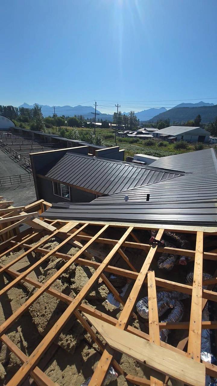 Open ceiling joists with batts, the metal roof beyond