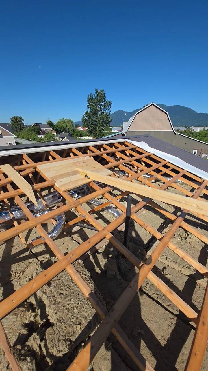 Open roof joists with the metal roof started at the edge